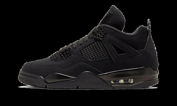 Air Jordan 4 "Black Cat 2025" FV5029 010