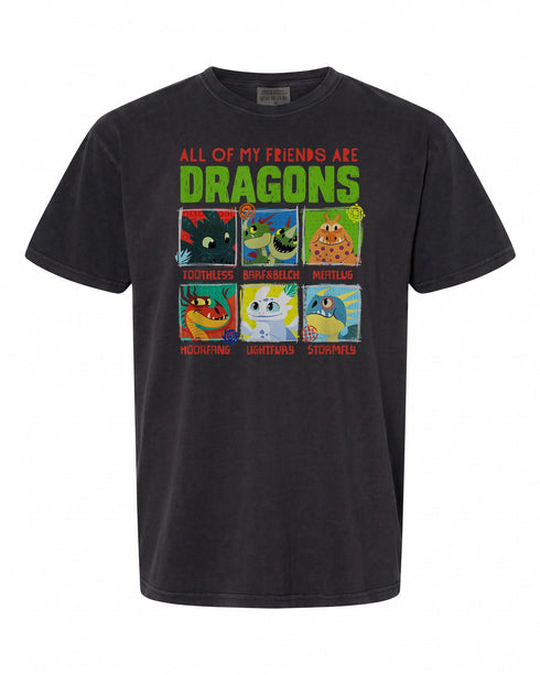 How To Train Your Dragon 3 T-Shirt - Perfect Gift for Fans | Premium Quality