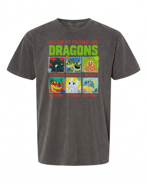 How To Train Your Dragon 3 T-Shirt - Perfect Gift for Fans | Premium Quality