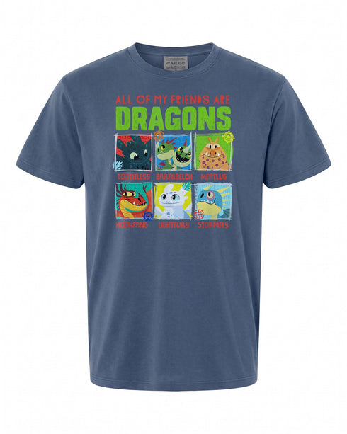 How To Train Your Dragon 3 T-Shirt - Perfect Gift for Fans | Premium Quality
