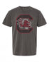 South Carolina Gamecocks Vintage Icon Heather Gray T-Shirt - Classic Fan Apparel | Sporty Style
