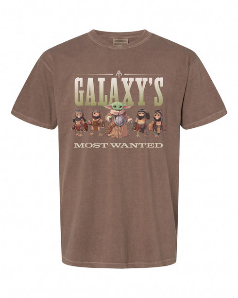 Star Wars: The Mandalorian and Grogu T-Shirt - Perfect Gift for Fans