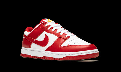 Dunk Low Retro "USC"