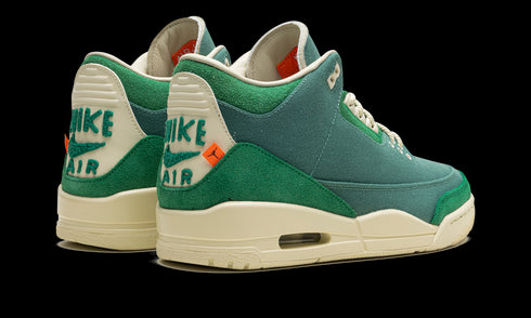 Air Jordan 3 WMNS "Nina Chanel Abney - Bicoastal" FZ7974 300