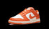 Dunk Low "Syracuse 2025"
