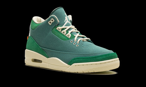 Air Jordan 3 WMNS "Nina Chanel Abney - Bicoastal" FZ7974 300