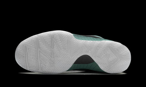 Zoom Kobe 4 Protro "Bicoastal"