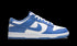 Dunk Low "Polar Blue / White"